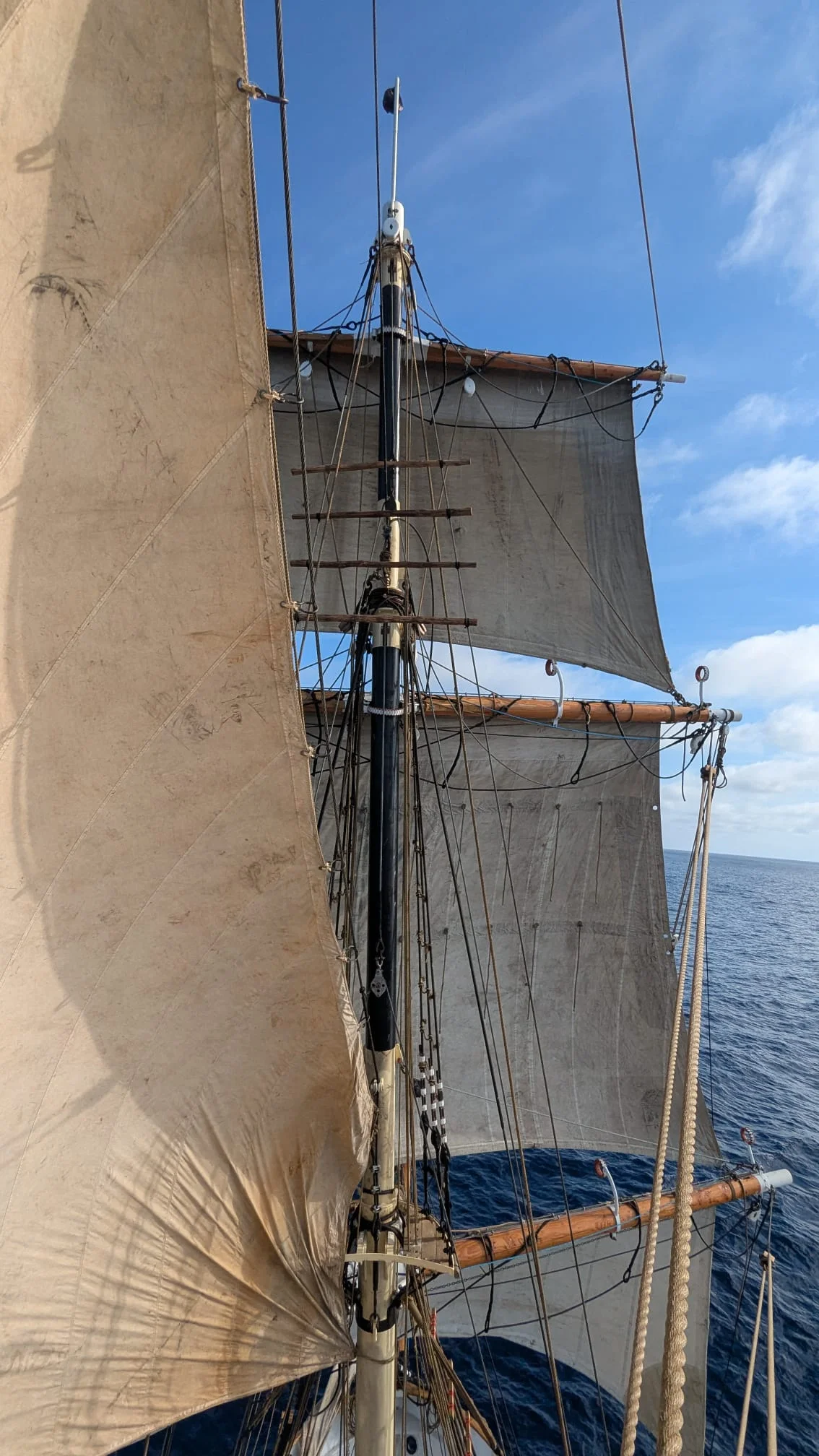 Crew working sail in the middle of a sunny afternoon watch