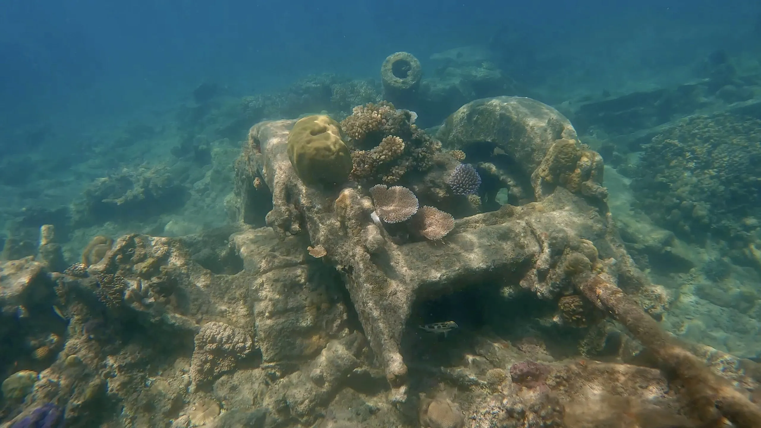 Bright blue starfish and tropical fish at Million Dollar Point off Luganville