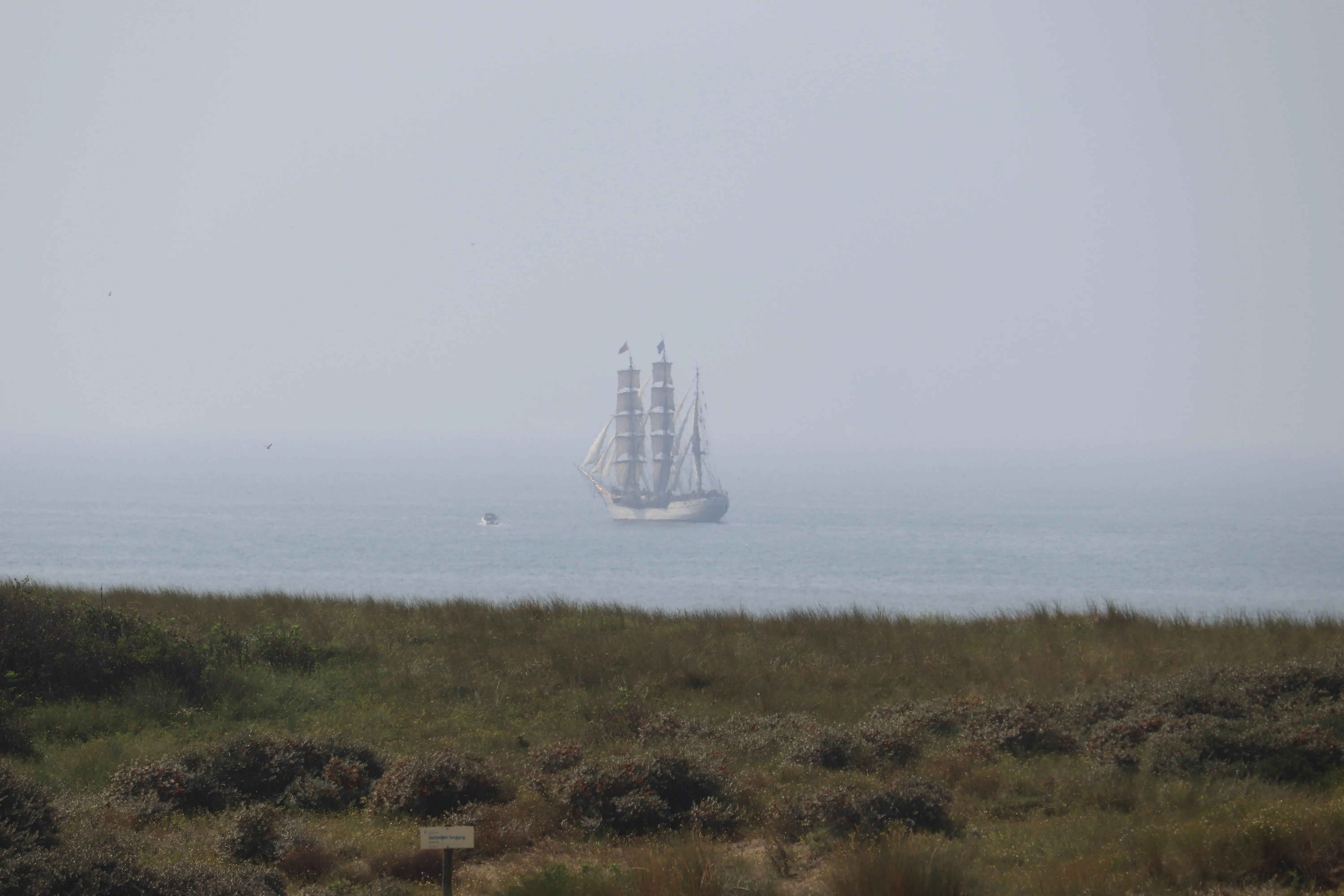 Bark Europa sailing off Noordwijk, 2020.