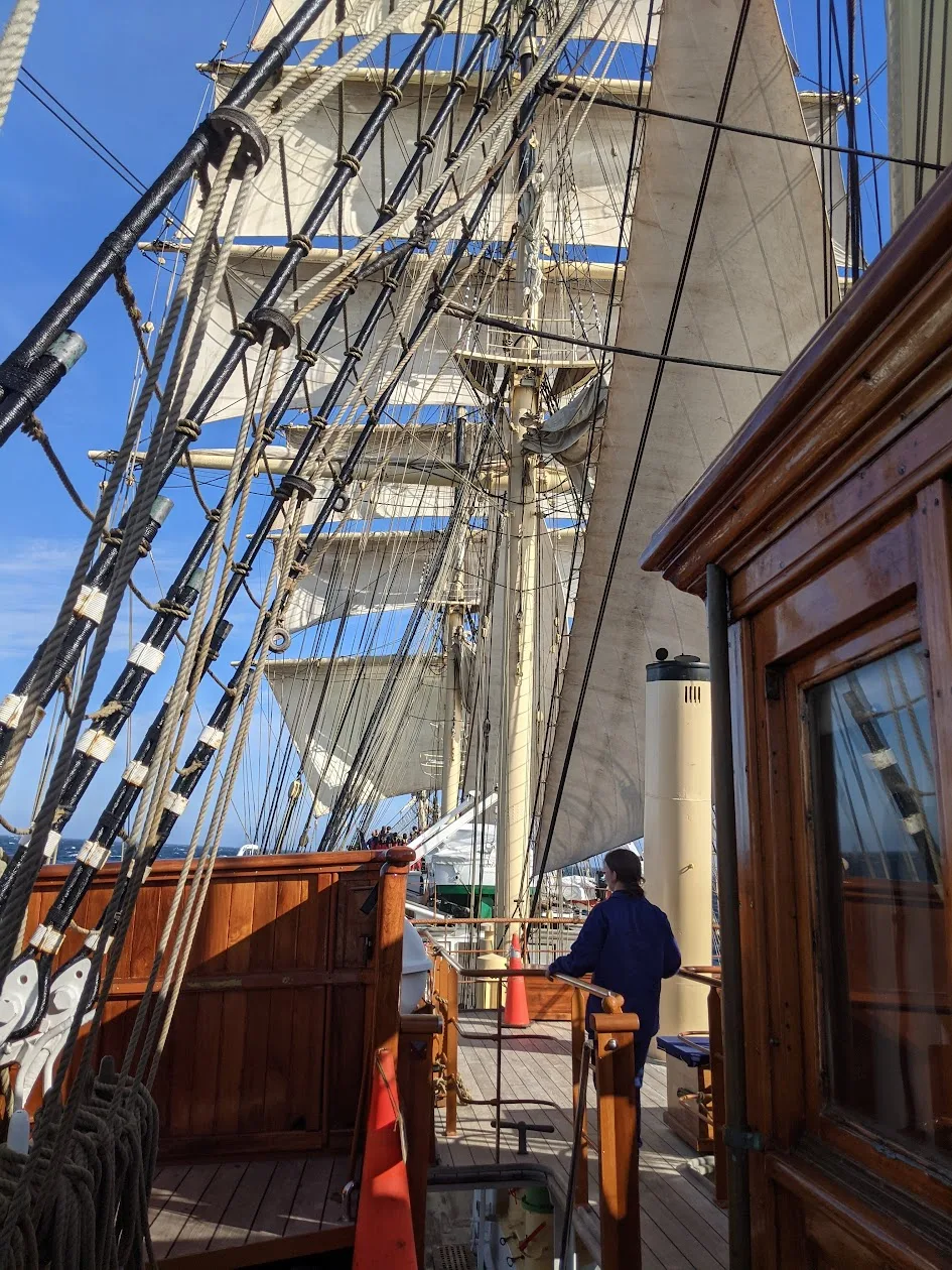 What Does a Tall Ship Voyage Actually Cost?