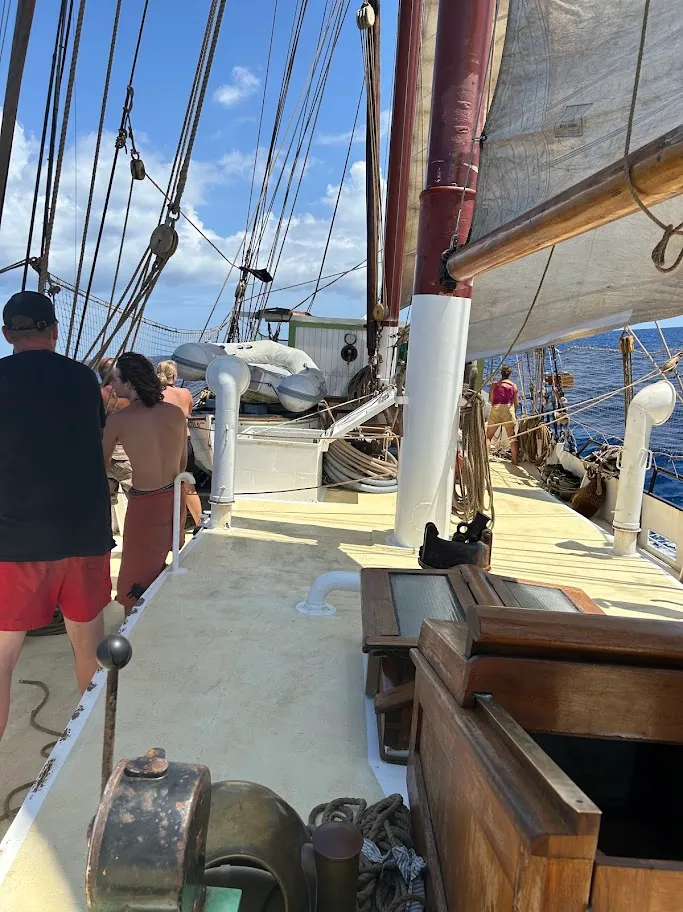 Tall ship sailing