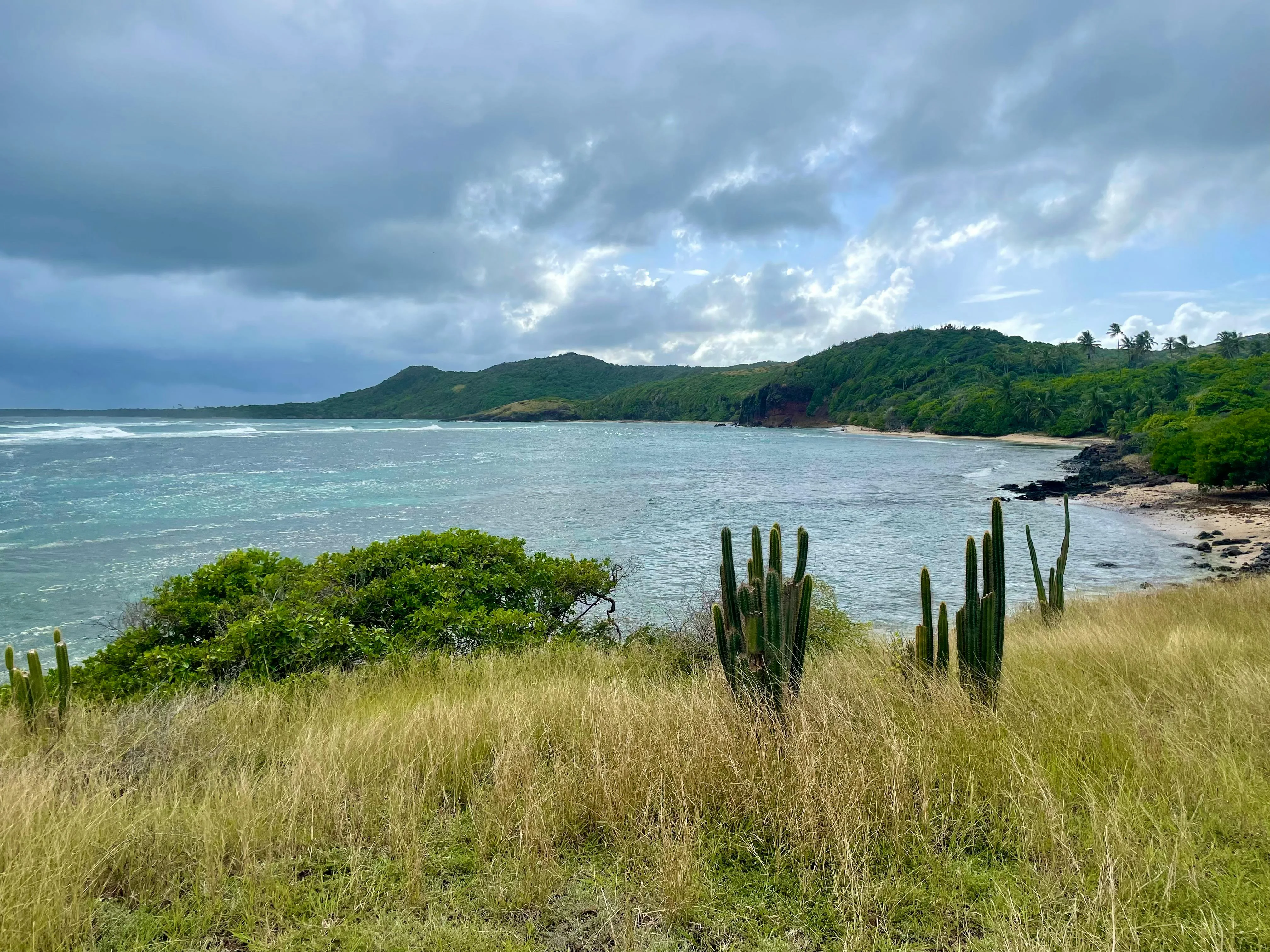 The coast at Sainte-Anne, Martinique, French tropics with a baguette-and-rhum-agricole accent.